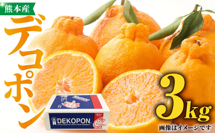 【先行予約】デコポン 約3kg 化粧箱入り【かきやま果実】フルーツ 果物 でこぽん 熊本県 [ZCJ002]