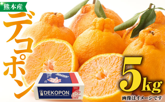 【先行予約】 デコポン 約 5kg 化粧箱入り 【かきやま果実】フルーツ 果物 でこぽん 熊本県 [ZCJ003]