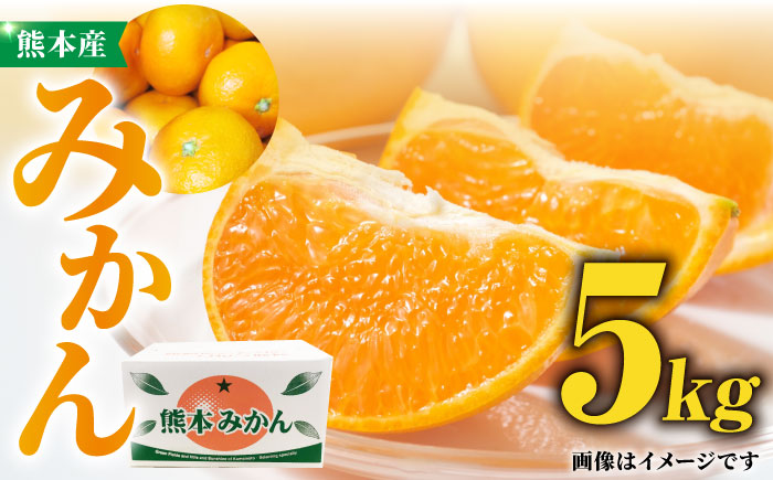 熊本 みかん 約 5kg 化粧箱入り 【かきやま果実】 [ZCJ004]