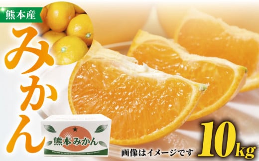 みかん 約10kg【かきやま果実】 [ZCJ005]