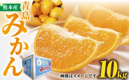 【先行予約】青島 みかん 約10kg【かきやま果実】 [ZCJ011]