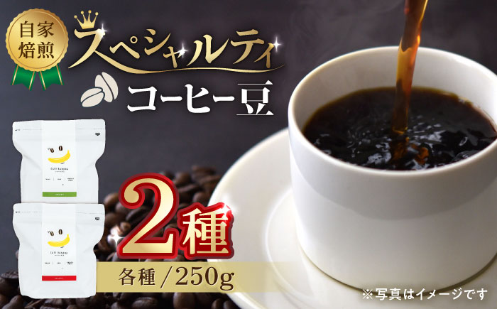 【豆のまま】自家焙煎 スペシャルティコーヒー 豆 （ 250g × 2種 ）約40杯分【かきやま果実】 [ZCJ015]