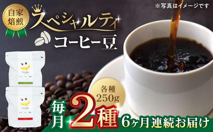 【6回定期便】【豆のまま】自家焙煎 スペシャルティコーヒー 豆 （ 250g × 2種 ）約40杯分【かきやま果実】 [ZCJ016]