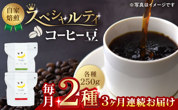 【3回定期便】【豆のまま】自家焙煎 スペシャルティコーヒー 豆 （ 250g × 2種 ）約40杯分【かきやま果実】 [ZCJ019]
