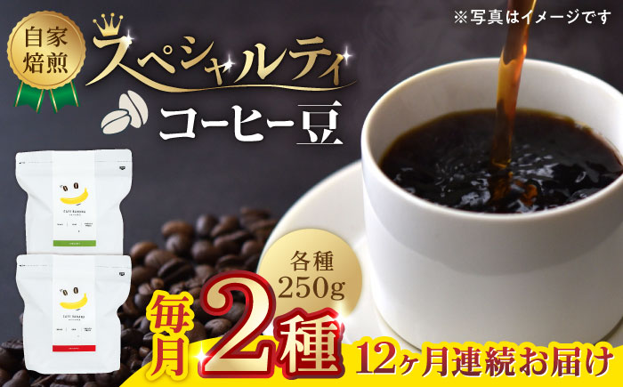 【12回定期便】【豆のまま】自家焙煎 スペシャルティコーヒー 豆 （ 250g × 2種 ）約40杯分【かきやま果実】 [ZCJ020]