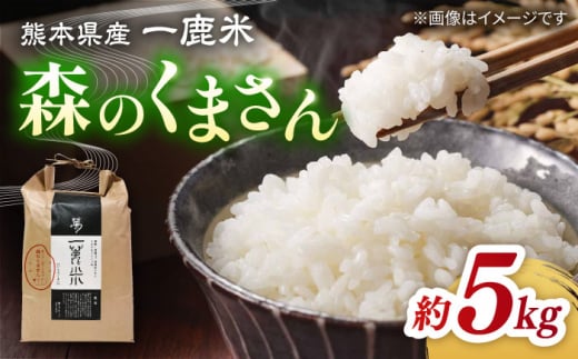 〈令和7年度新米〉 【天日塩を使用】一鹿米 森のくまさん 白米 5kg【株式会社 夢アグリ】 新米 令和7年産 [ZCL001]