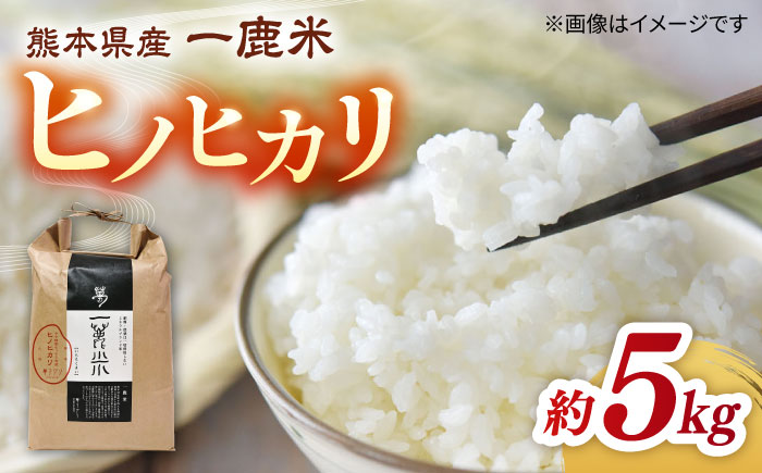【先行予約】【天日塩を使用】一鹿米 ヒノヒカリ 白米 5kg【株式会社 夢アグリ】 [ZCL003]