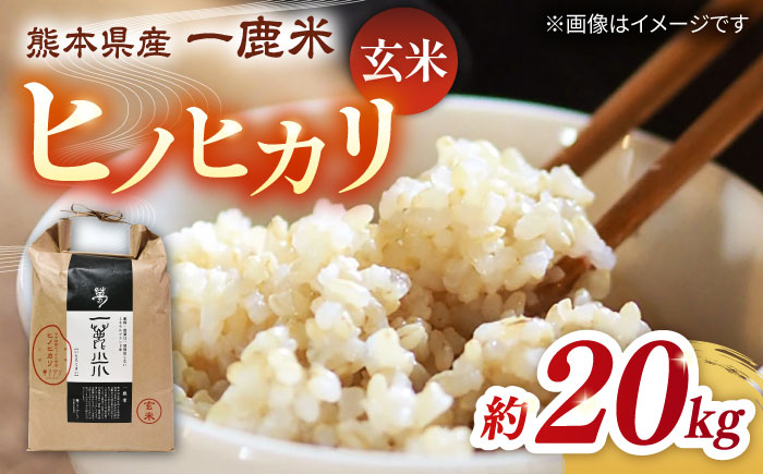 【先行予約】【天日塩を使用】一鹿米 ヒノヒカリ 玄米 20kg【株式会社 夢アグリ】 [ZCL004]