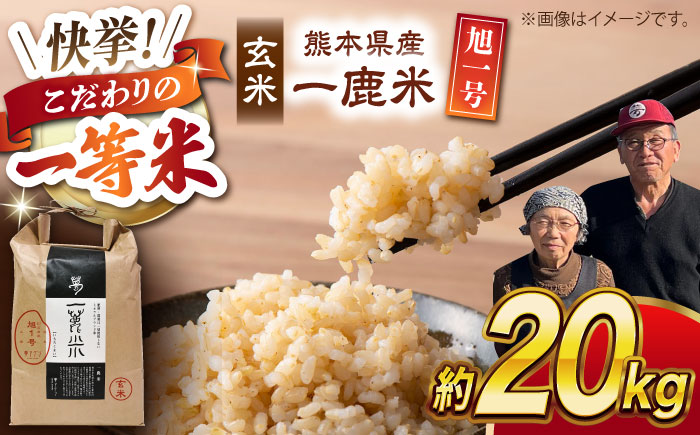 〈令和7年度新米〉 【先行予約】【天日塩を使用】一鹿米 旭一号 玄米 20kg【株式会社 夢アグリ】 新米 令和7年産 [ZCL006]
