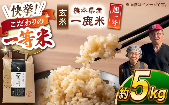 〈令和7年度新米〉 【先行予約】 【天日塩を使用】一鹿米 旭一号 米 玄米 5kg【株式会社 夢アグリ】 新米 令和7年産 [ZCL015]