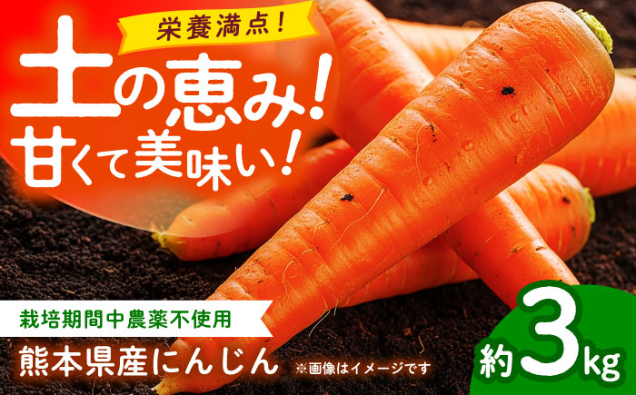 【先行予約】にんじん 約3kg 天日塩＆発酵土壌で作ったこだわりの人参 【株式会社 夢アグリ】 [ZCL018]