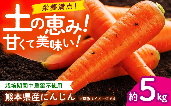 【先行予約】にんじん 約5kg 天日塩＆発酵土壌で作ったこだわりの人参 【株式会社 夢アグリ】 [ZCL019]