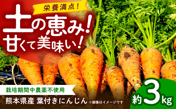 【先行予約】葉付きにんじん 約3kg　天日塩＆発酵土壌で作ったこだわりの人参 【株式会社 夢アグリ】 [ZCL020]