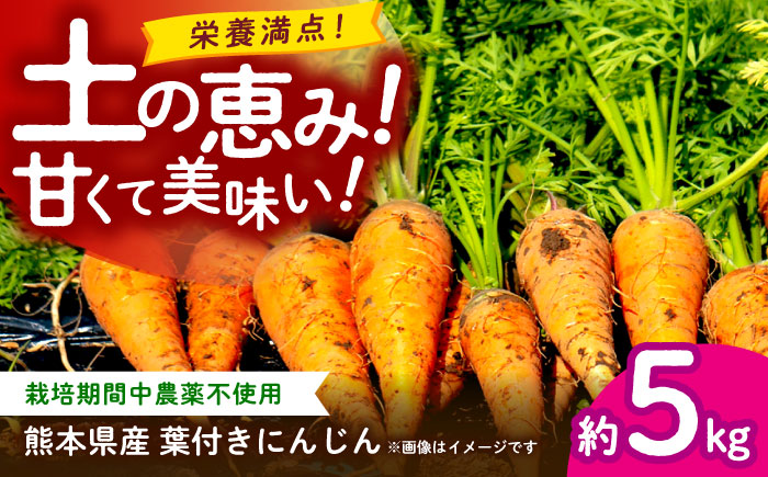 【先行予約】葉付きにんじん 約5kg　天日塩＆発酵土壌で作ったこだわりの人参 【株式会社 夢アグリ】 [ZCL021]