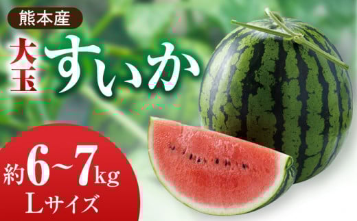 【先行予約】大玉 すいか Lサイズ【株式会社 前田ファーム】 [ZCM001]