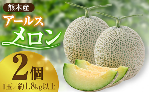 年内発送 クリスマスメロン セット【株式会社 前田ファーム】 [ZCM004]