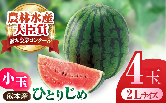 【先行予約】小玉スイカ ひとりじめ 4玉 2Lサイズ 【株式会社 前田ファーム】 [ZCM012]