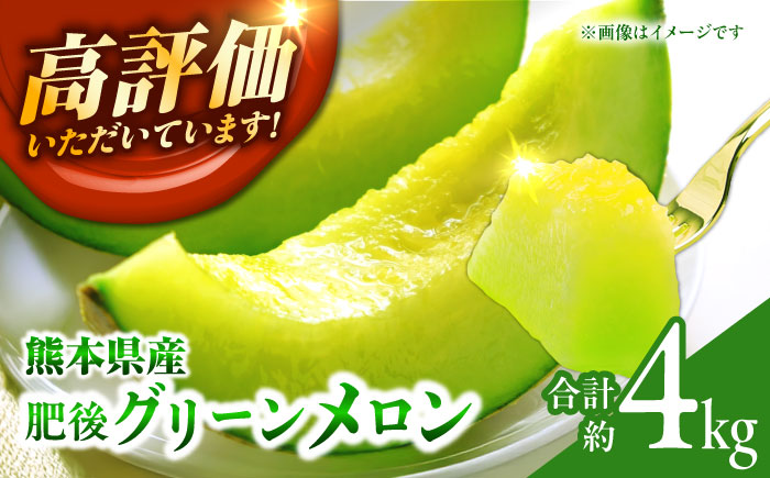 【先行予約】 肥後グリーン メロン 2玉【合同会社 福福堂】 [ZCN003]