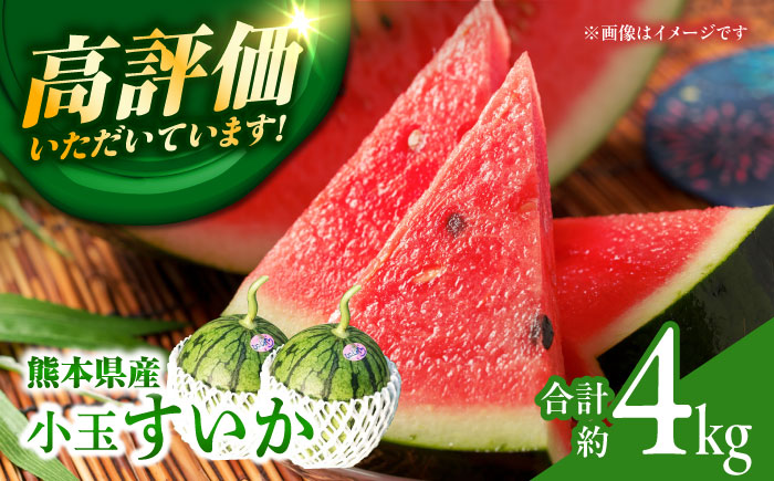 【先行予約】 小玉 すいか 2玉【合同会社 福福堂】 [ZCN005]