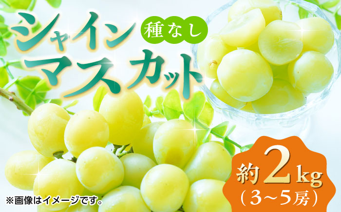 【先行予約】シャインマスカット 約2kg 3～5房 ぶどう 種なし【合同会社 福福堂】 [ZCN008]