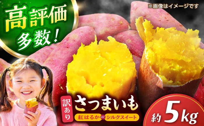 【年内発送は12月21日ご入金分まで！】 さつまいも 紅はるか or シルクスイート 蜜芋 5kg【合同会社 福福堂】 [ZCN013]