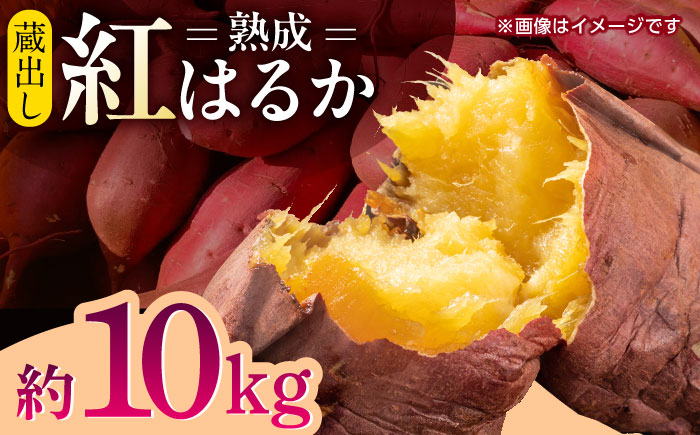 蔵出し 熟成 紅はるか さつまいも 約10kg サイズバラバラ 密 芋 【合同会社 福福堂】 [ZCN019]