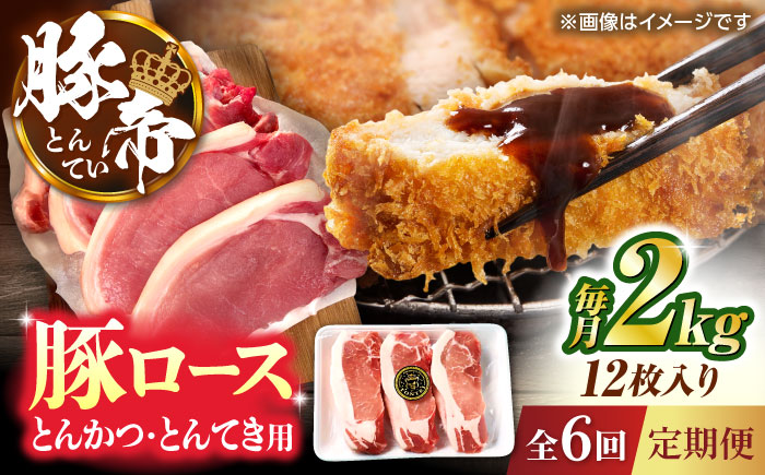 【全6回定期便】豚帝 ロースとんかつ・とんてき用 カット 約2kg（1枚約170～180g×12枚）【KRAZY MEAT(小田畜産)】 [ZCP167]
