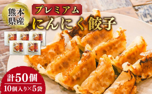 プレミアムにんにく餃子【株式会社 九州ファーム】 [ZCV001]