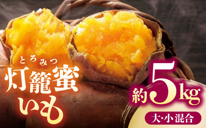 ブランド さつまいも「灯籠蜜いも とろみついも」約5kg【株式会社 アグリファーム未来】 [ZDN001]