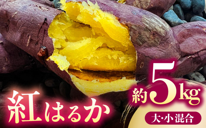 さつまいも 紅はるか 約5kg【株式会社 アグリファーム未来】 [ZDN002]
