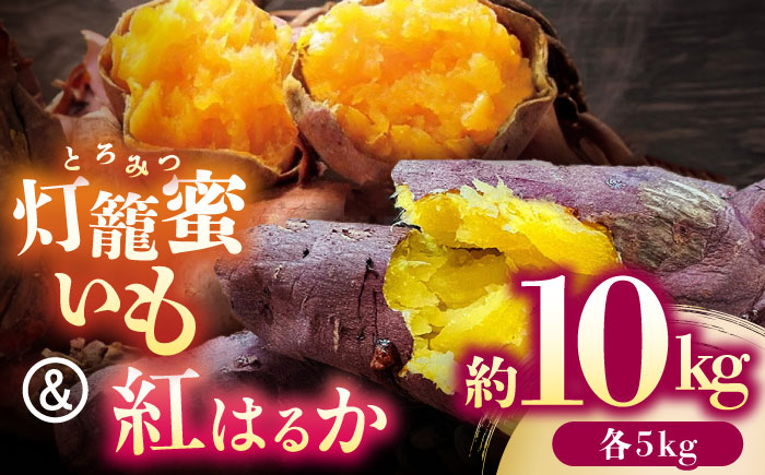 さつまいも 食べ比べ セット「灯籠蜜いも とろみついも」と「 紅はるか 」計 約10kg (各5kg)【株式会社 アグリファーム未来】 [ZDN003]
