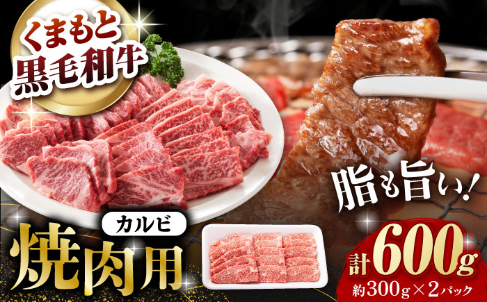 熊本県産 黒毛和牛 カルビ 焼肉用 約600g(約300g×2pc)【有限会社 九州食肉産業】 [ZDQ153]