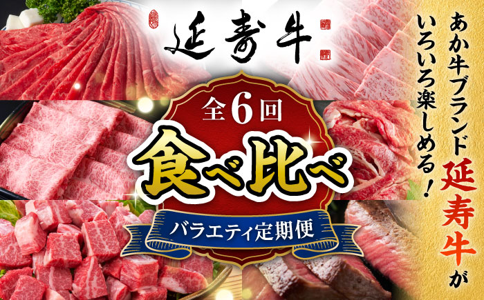 【6回定期便】熊本県産 あか牛『延寿牛』 食べ比べ【有限会社 九州食肉産業】 [ZDQ169]