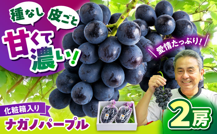 【先行予約】山鹿市産 ナガノパープル 2房（約800g～1.2kg） 箱入り [ZDS003]