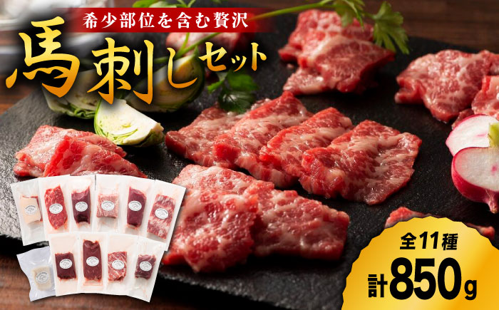 フジチク/熊本特産！希少部位を含む贅沢 馬刺し セット 3603 [ZDT028]