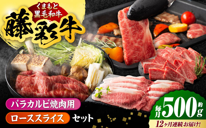 【12回定期便】くまもと黒毛和牛「藤彩牛」2種の食べ比べ計500g 3900【有限会社 スイートサプライなかぞの】 [ZDT129]