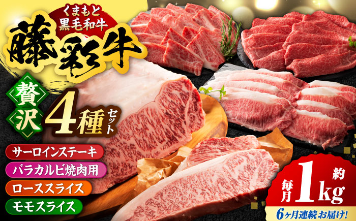 【6回定期便】くまもと黒毛和牛「藤彩牛」厳選4種の贅沢セット 3904【有限会社 スイートサプライなかぞの】 [ZDT144]