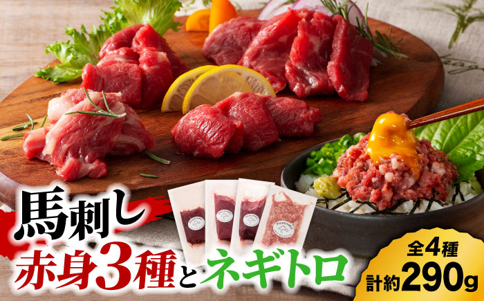 【熊本特産】赤身馬刺し3種とネギトロの詰め合わせ 3891【有限会社スイートサプライなかぞの】 [ZDT157]