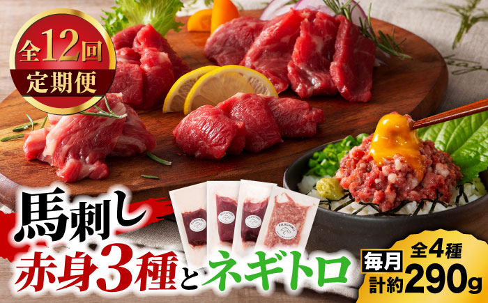 【全12回定期便】【熊本特産】赤身馬刺し3種とネギトロの詰め合わせ 3891【有限会社スイートサプライなかぞの】 [ZDT175]