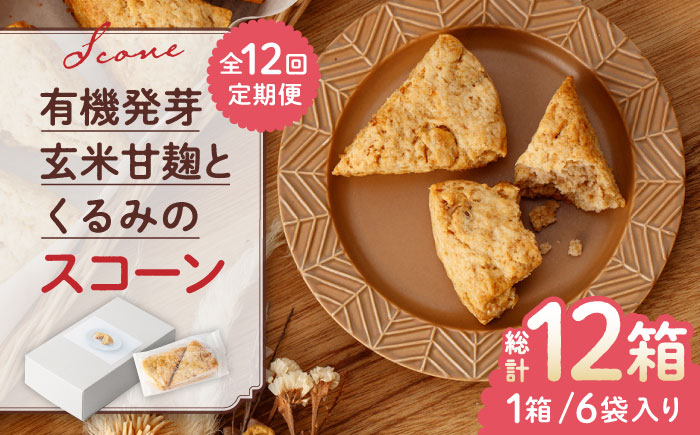【全12回定期便】有機発芽玄米甘麹とくるみのスコーン【BANBA BON BONS】 [ZDW004]