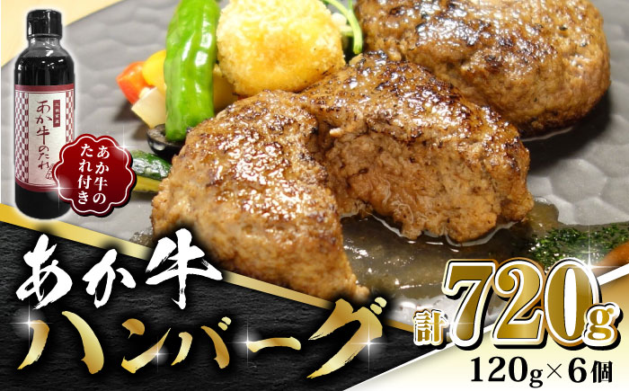 あか牛 100％ハンバーグ セット 120g×6個【有限会社 三協畜産】 [ZEB003]