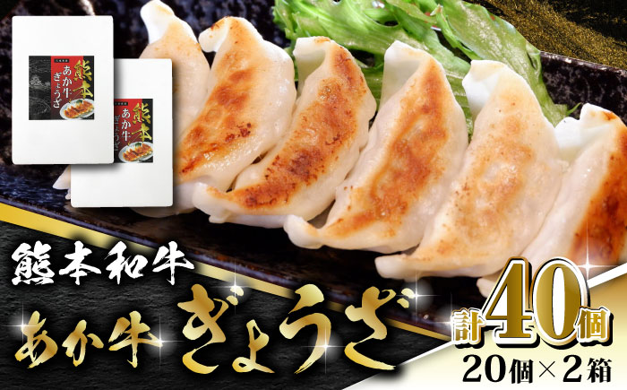 熊本和牛 あか牛ぎょうざ 20個×2箱【有限会社 三協畜産】 国産  餃子 ぎょうざ ギョウザ 熊本和牛  [ZEB043]