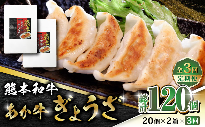 【全3回定期便】熊本和牛 あか牛ぎょうざ 20個×2箱【有限会社 三協畜産】 国産  餃子 ぎょうざ ギョウザ 熊本和牛 和牛 牛 定期 定期便  [ZEB060]