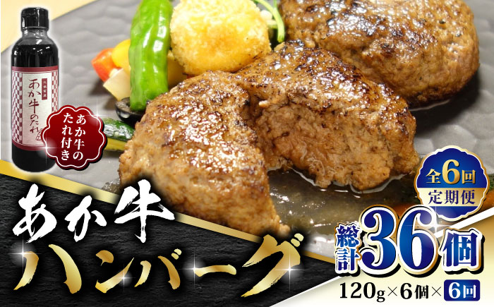 【全6回定期便】あか牛 100％ハンバーグ セット 120g×6個【有限会社 三協畜産】 国産 牛肉  ハンバーグ セット 定期  [ZEB066]