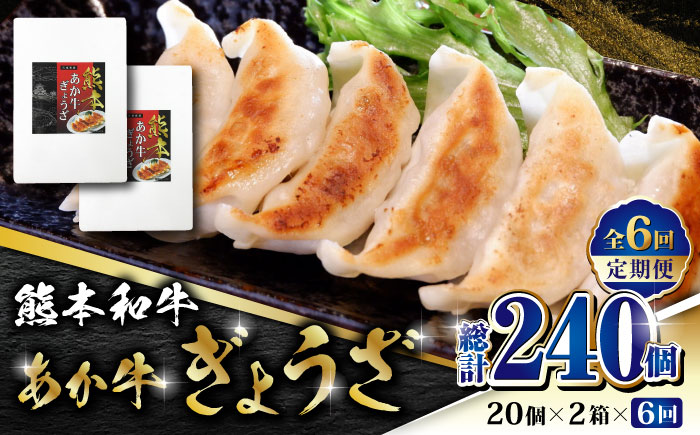 【全6回定期便】熊本和牛 あか牛ぎょうざ 20個×2箱【有限会社 三協畜産】 餃子 ぎょうざ ギョウザ 熊本和牛  [ZEB077]