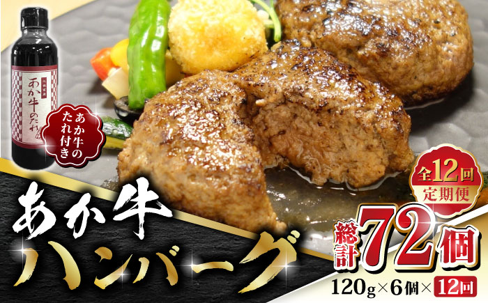 【全12回定期便】あか牛 100％ハンバーグ セット 120g×6個【有限会社 三協畜産】 九州産 国産 赤身 赤牛 褐牛 あかうし 褐毛和種  [ZEB083]