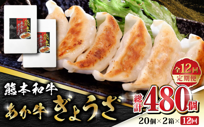 【全12回定期便】熊本和牛 あか牛ぎょうざ 20個×2箱【有限会社 三協畜産】 餃子 ぎょうざ ギョウザ 熊本和牛 和牛 牛  [ZEB092]
