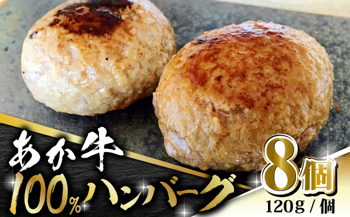 あか牛 100% ハンバーグ 120g × 8個【有限会社 三協畜産】ハンバーグ 牛肉 赤牛 和牛 冷凍 お肉 [ZEB099]