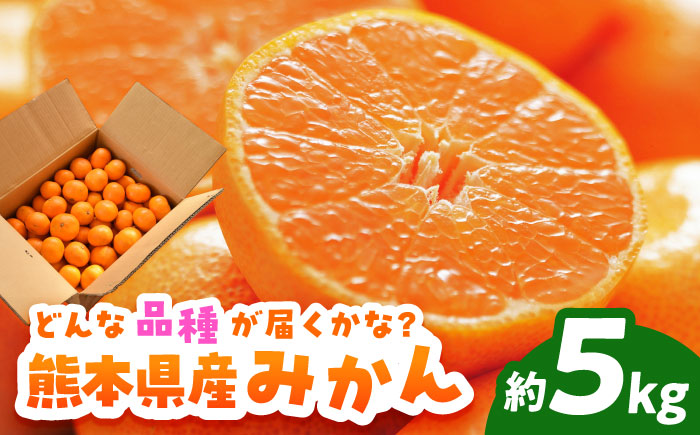 【先行予約】みかん 約5kg【道の駅 水辺プラザかもと】 [ZEG002]