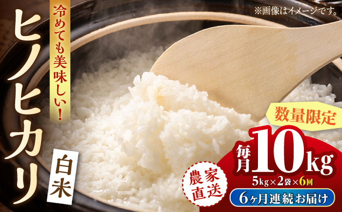 〈令和7年度新米〉【6回定期便】 ヒノヒカリ 白米 10kg（5kg×2袋）【竹下農園】 [ZEL006]
